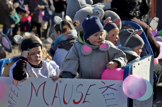 Narrentreiben 2025 (Fotos Rochus Hetzendorfer)